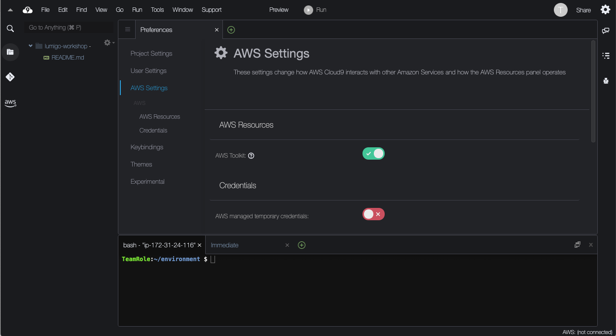 Cloud9 AWS Settings